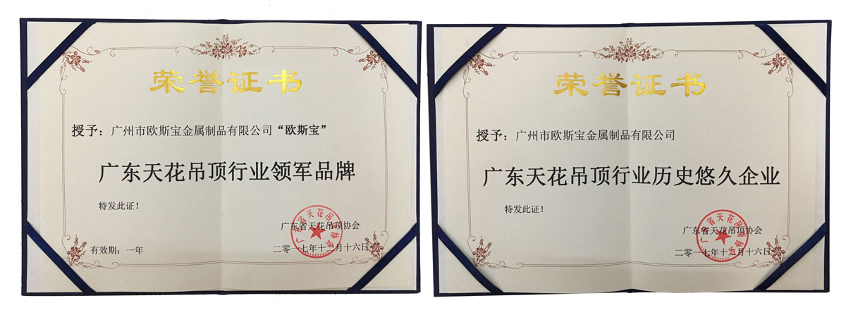 廣東天花吊頂行業(yè)領軍品牌