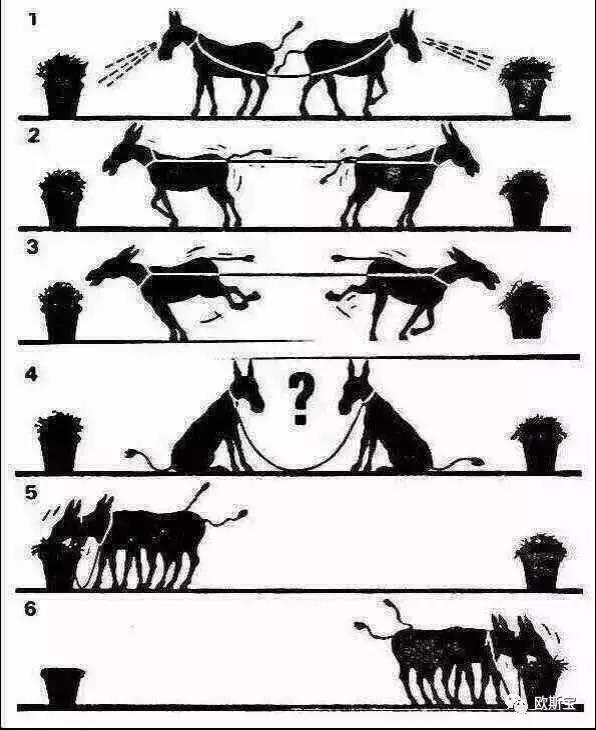 【歐斯寶團(tuán)隊(duì)】論成功的自我修養(yǎng)！