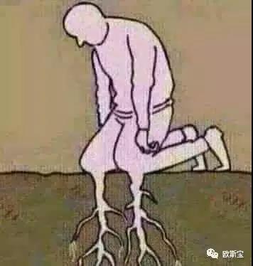 【歐斯寶團(tuán)隊(duì)】論成功的自我修養(yǎng)！