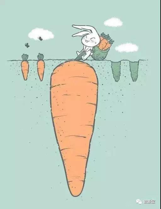 【歐斯寶團(tuán)隊(duì)】論成功的自我修養(yǎng)！