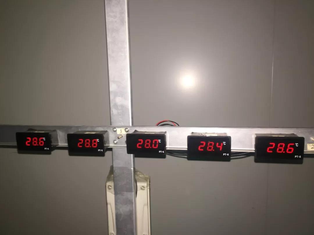 數(shù)據(jù)顯示